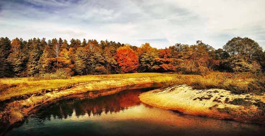 Landscape Canvas Wall Art