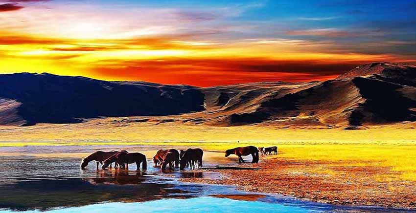 Landscape Canvas Wall Art Canvas Print