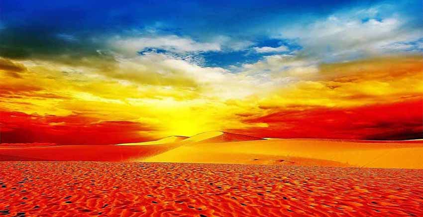 Canvas Wall Art Canvas Print