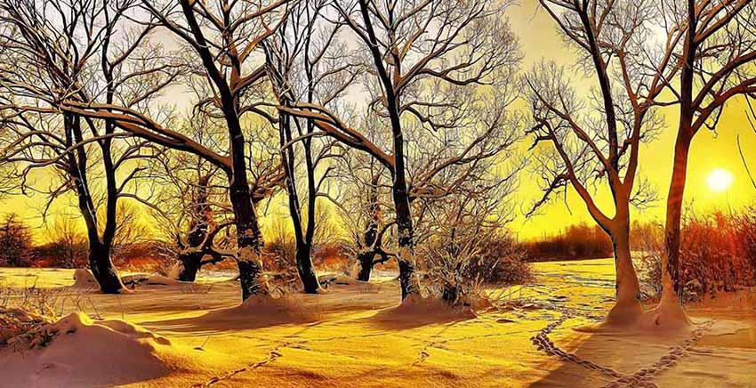 Canvas Wall Art Canvas Print