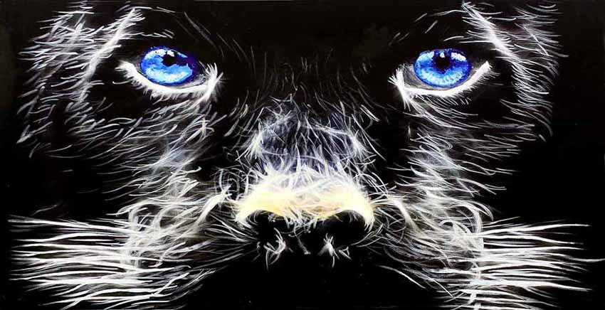 Canvas Wall Art Canvas Print Dog