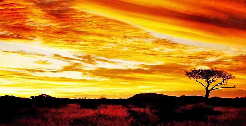 Landscape Canvas Wall Art Canvas Print