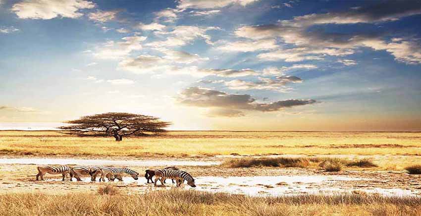 Landscape Canvas Wall Art Canvas Print