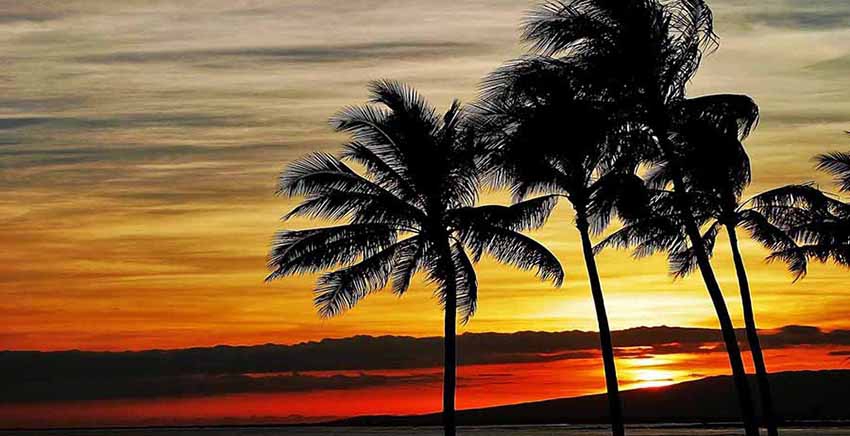 Landscape Canvas Wall Art Canvas Print