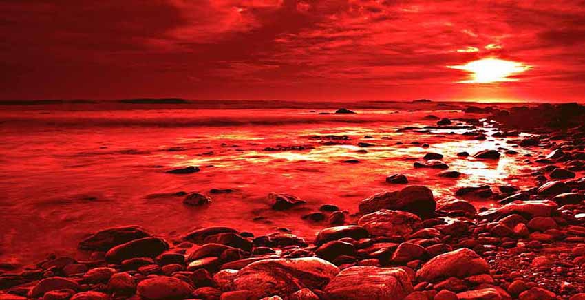 Red Sunset Canvas Wall Art Canvas Print